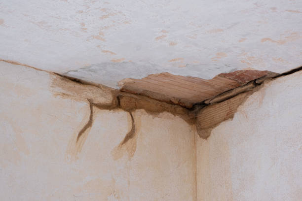 Best Basement water damage restoration  in Fort Davis, TX