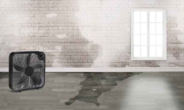 Best Sewage cleanup and water damage restoration  in Fort Davis, TX