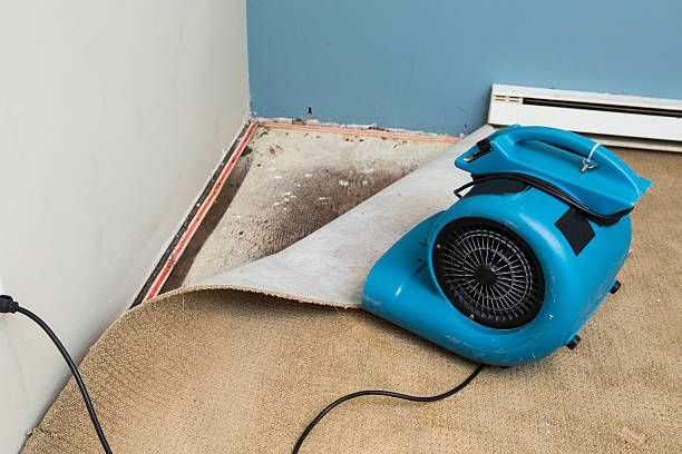 Best Flood restoration services  in Fort Davis, TX